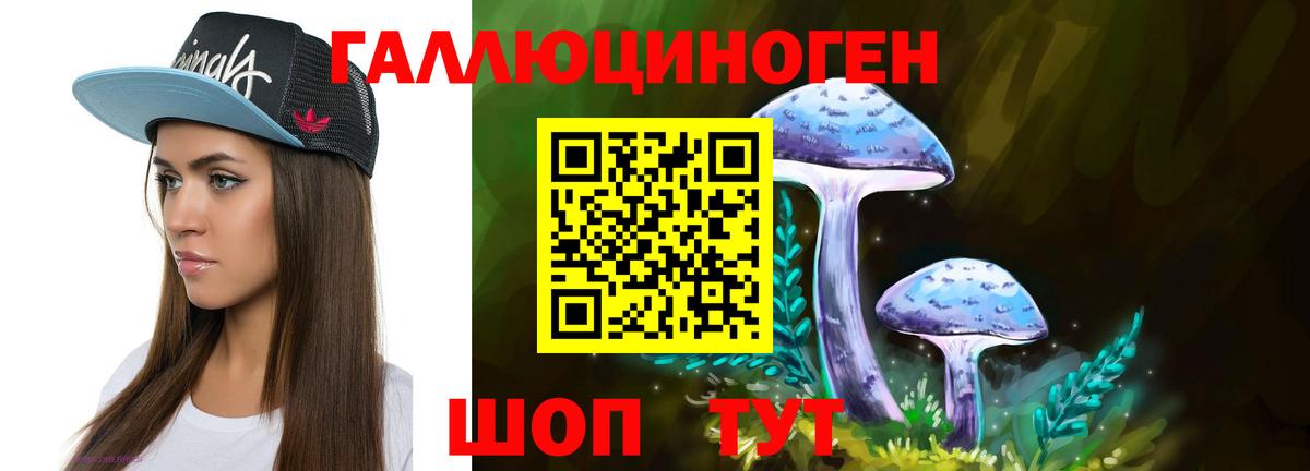 Галлюциногенные грибы MAGIC MUSHROOMS  Вход с VPN  Канаш 