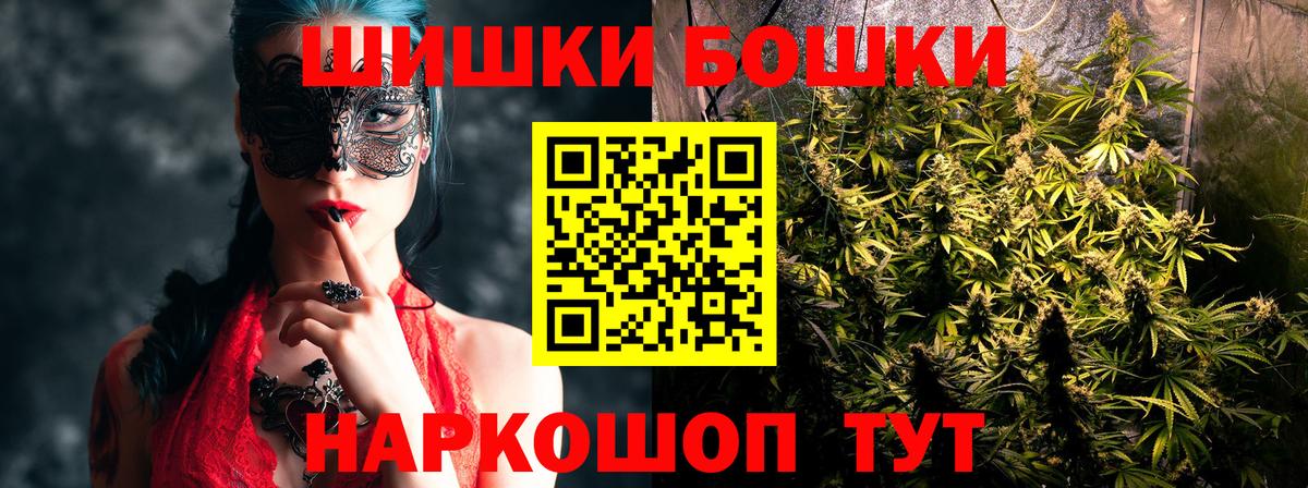 Канабис сатива Канаш